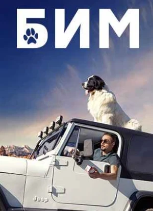 БиМ 1-3 сезон