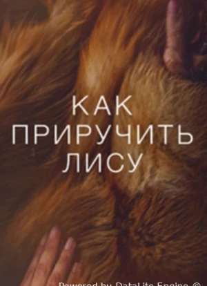 Как приручить лису