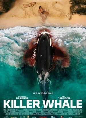 Кит-убийца 2026