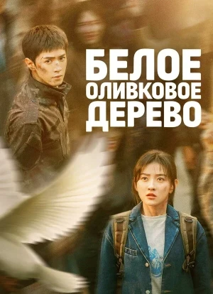Белое оливковое дерево 1 сезон 2025